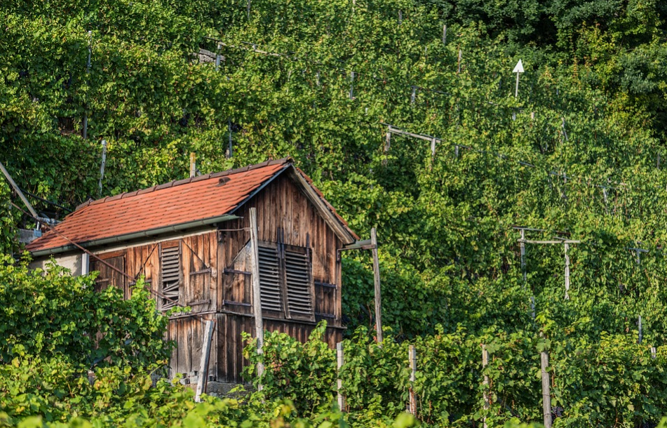 Die Premium-Lage "Markscheider Schweinekoben" und Schloss Beisel