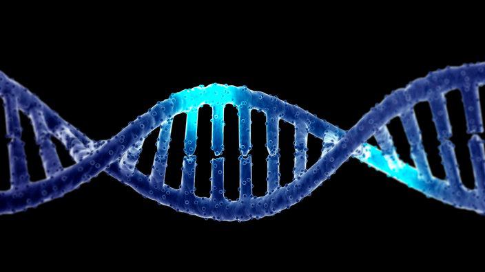 Abb 1: Lokomotiv-DNA der G 1700